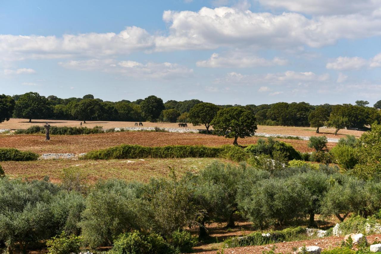 Villa Borgo Aratico à Monopoli Extérieur photo